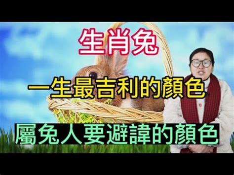 幸運色 八字|生辰八字顏色查詢 你的幸運色是什麼呢